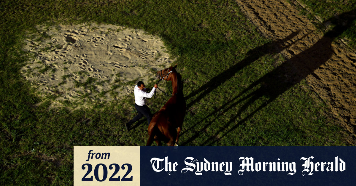 Canterbury races Wednesday tips and full preview